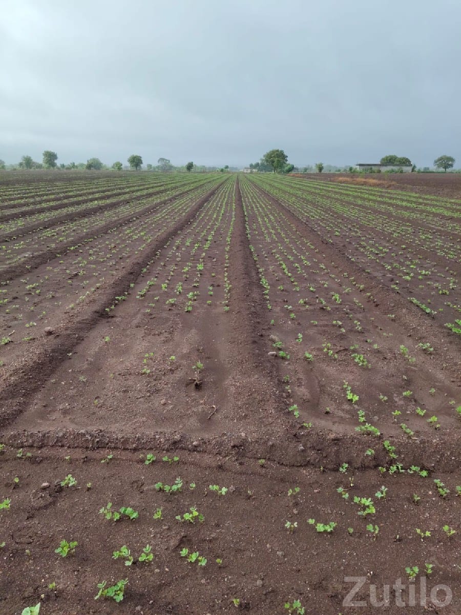 Vadara Highway Fertile Farm Land Plot