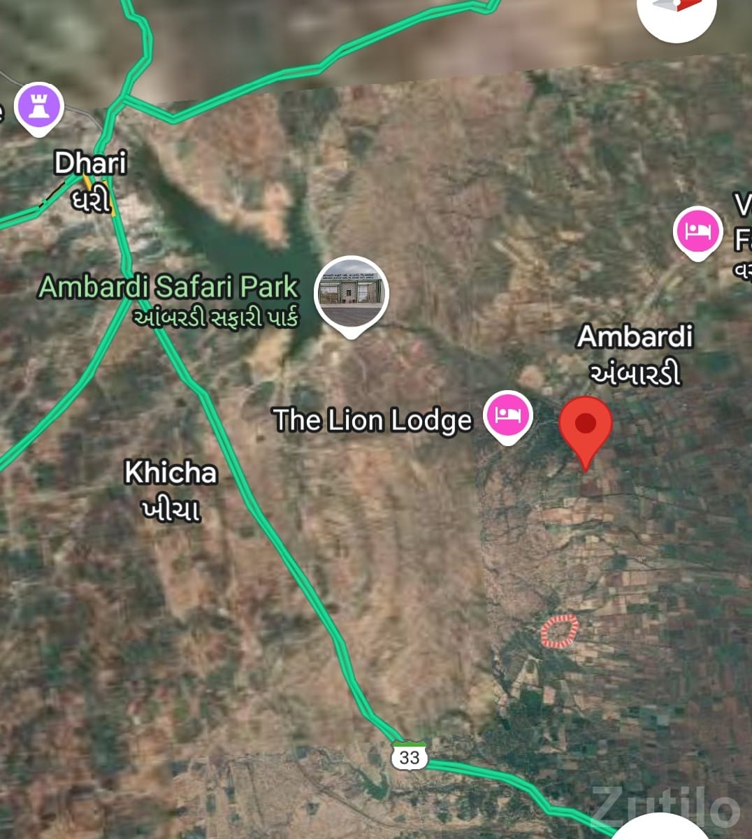 17 Vigha Orchard Land Near Dhari 17 Vigha Orchard Land Near Dhari
