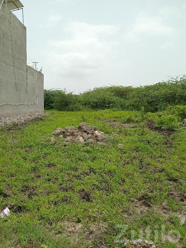 Residential Plot for Sale in Upleta - Land & Plots - Upleta - Image 2