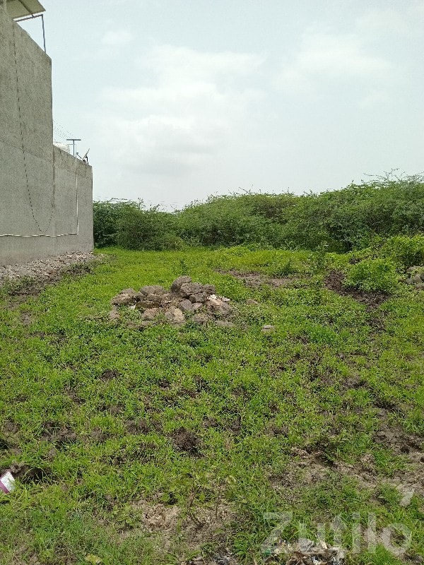 Residential Plot for Sale in Upleta - Land & Plots - Upleta - Image 3