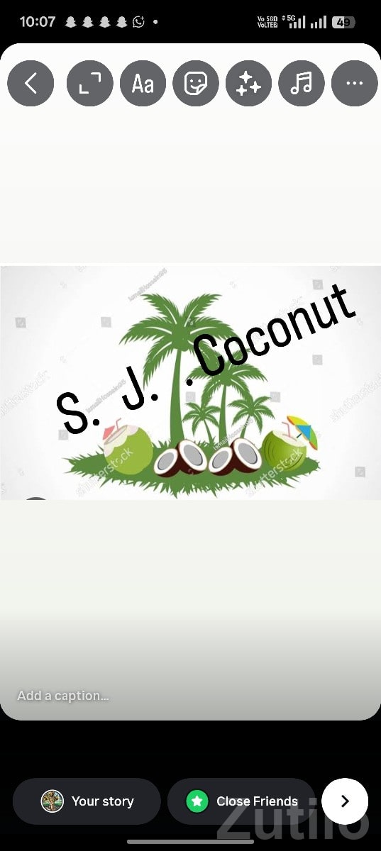 High Yield Coconut Farm Land Mangrol - Land & Plots - Mangrol - Image 3