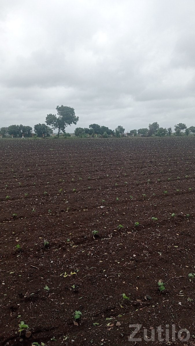 Fertile Agricultural Land for Sale Rajkot