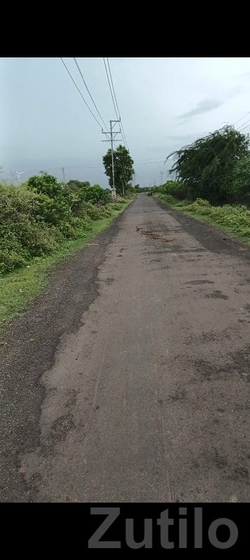 13 Vigha Fertile Agriculture Land Babra - જમીન અને પ્લોટ - બાબરા - Image 2