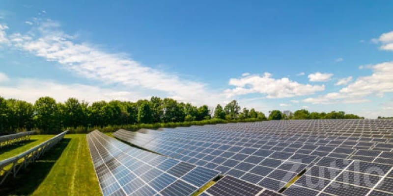 Solar Farm Land by Shree Maruti Engg - જમીન અને પ્લોટ - રણાવાવ - Image 3