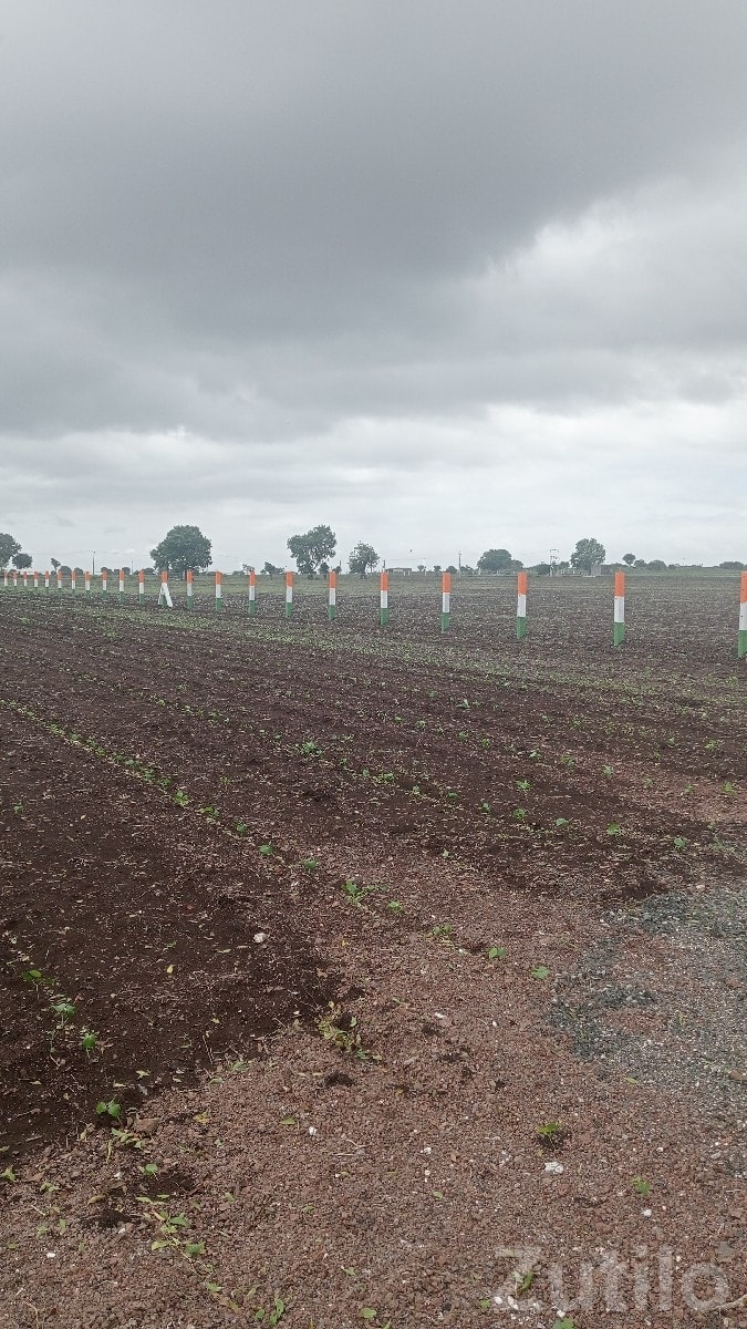 Fertile Agricultural Land for Sale Rajkot - જમીન અને પ્લોટ - રાજકોટ શહેર - Image 3