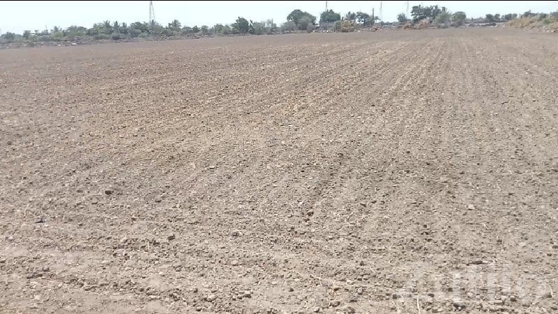 Fertile Agricultural Land in Porbandar Fertile Agricultural Land in Porbandar