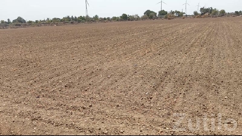 Fertile Agricultural Land in Porbandar - જમીન અને પ્લોટ - છાયા - Image 3