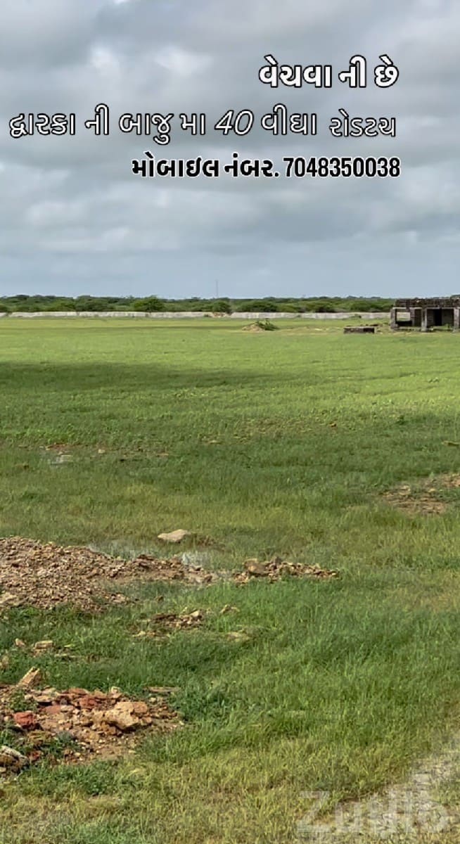 40 Vigha Road Touch Plot in Salaya