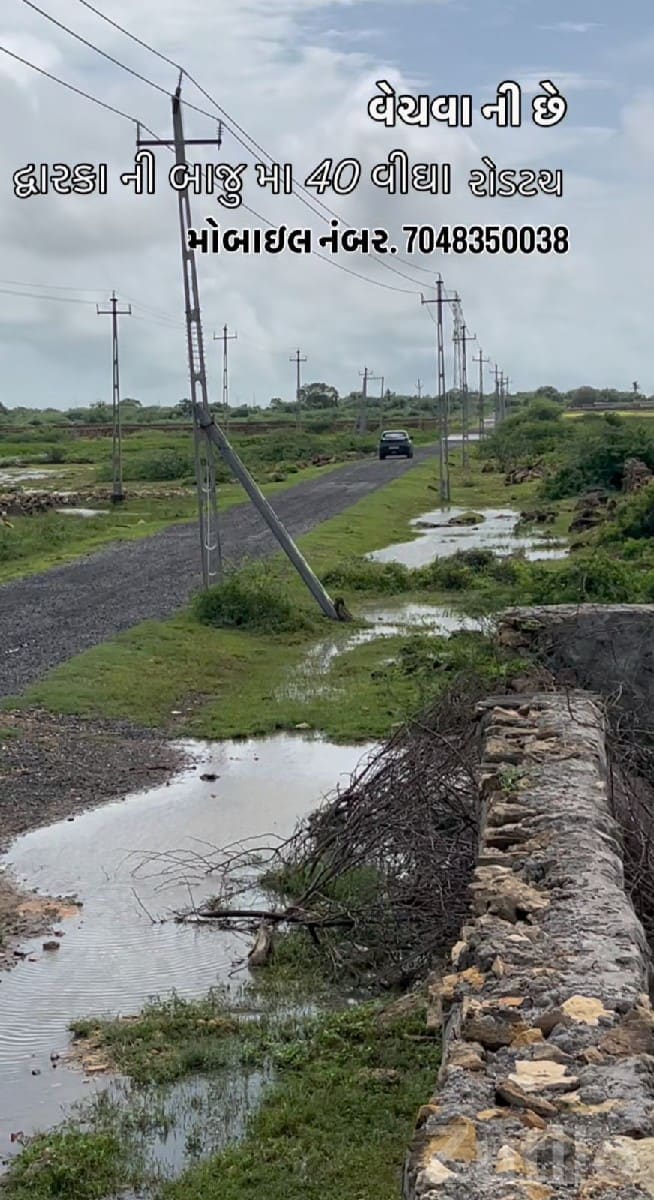 40 Vigha Road Touch Plot in Salaya - જમીન અને પ્લોટ - સલાયા - Image 2