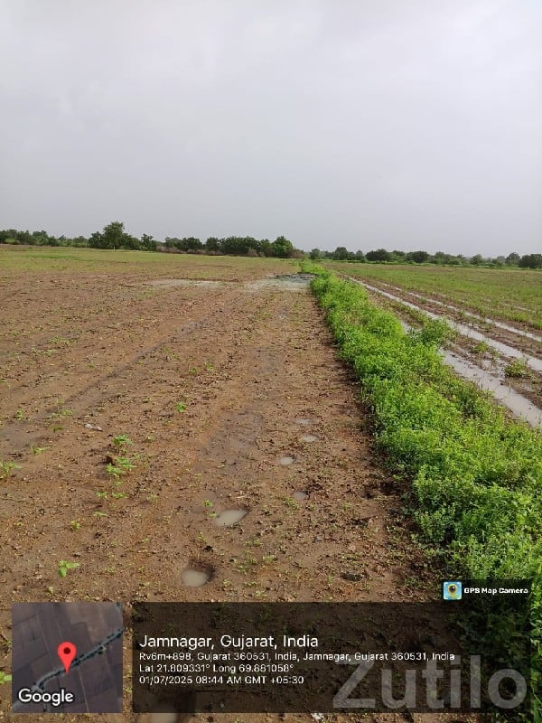 Fertile Agricultural Land Jamjodhpur