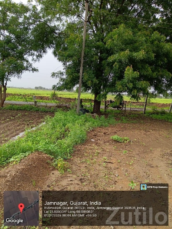 Fertile Agricultural Land Jamjodhpur - Land & Plots - Jamjodhpur - Image 2