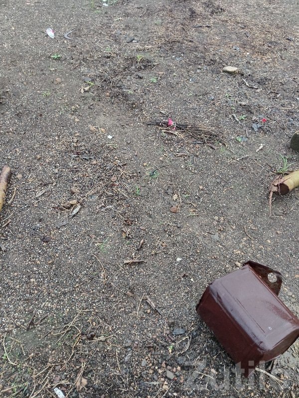 4 Bigha Open Land for Sale Jamjodhpur