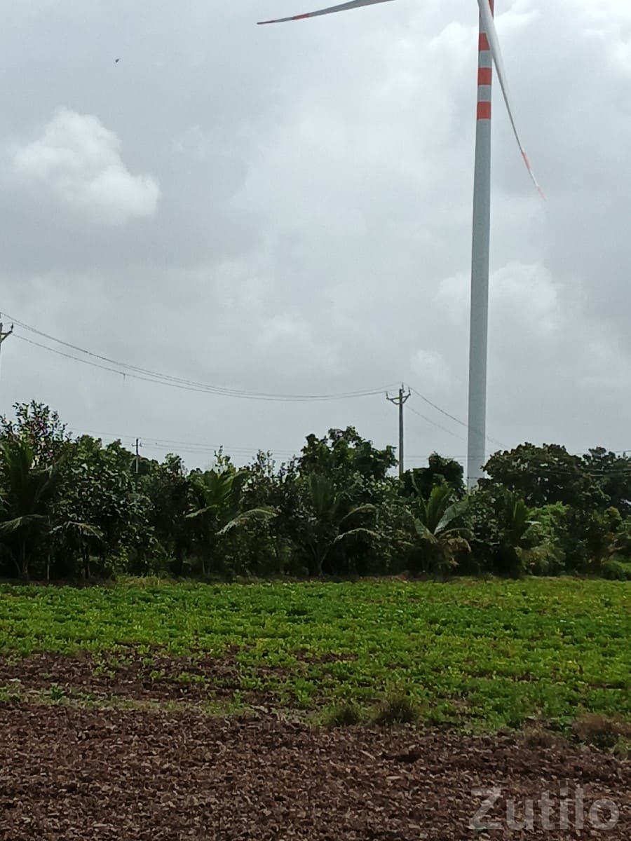 16.5 Vigha Fertile Farm Land Plot - Land & Plots - Khambhalia - Image 2