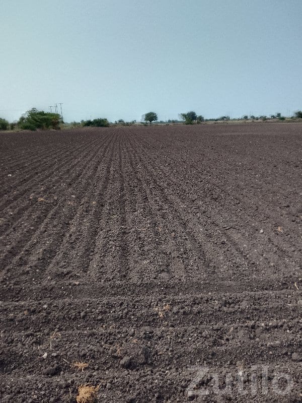 Fertile Agricultural Land Plot for Sale - Land & Plots - Manavadar - Image 3