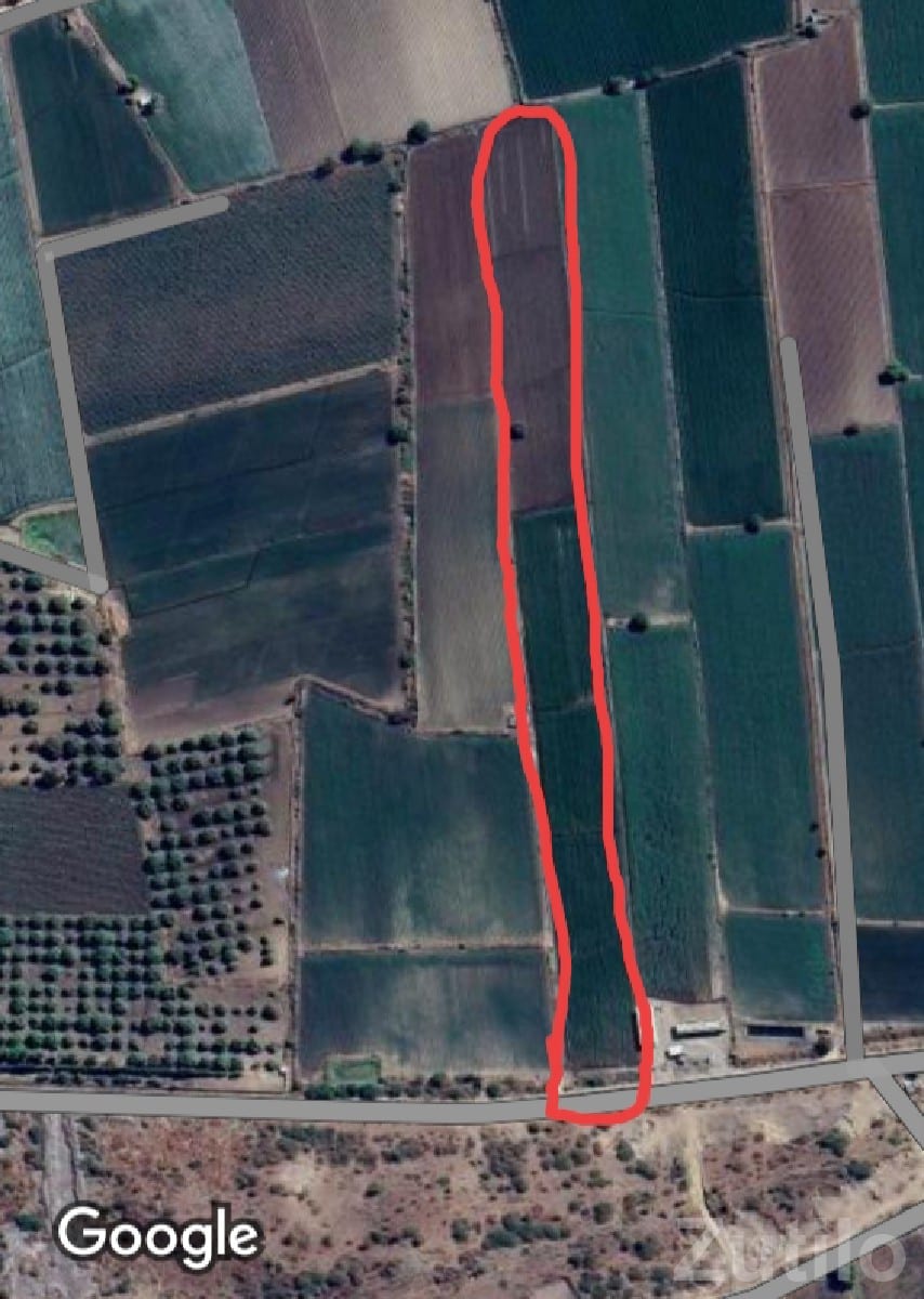 Upleta Roadside Agricultural Land Plot