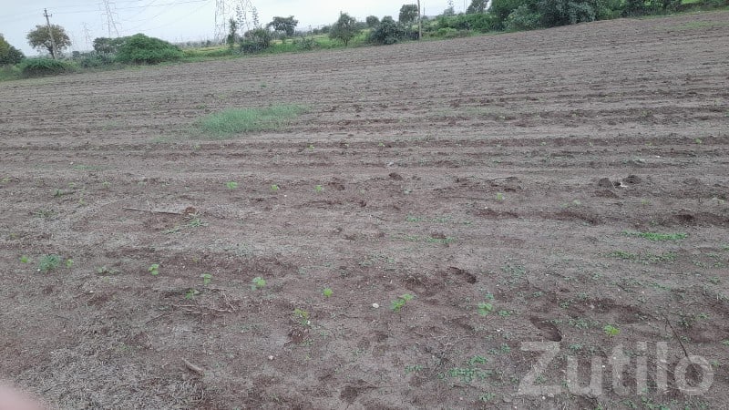 Jamjodhpur Bhanvad Agricultural Land
