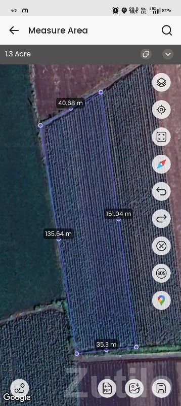 1.3 Acre Agricultural Land in Gondal