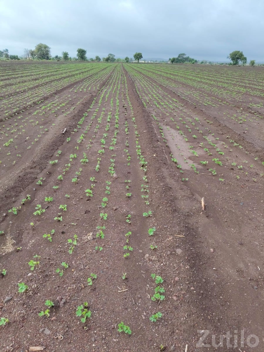 Fertile Farm Land with Water Facility