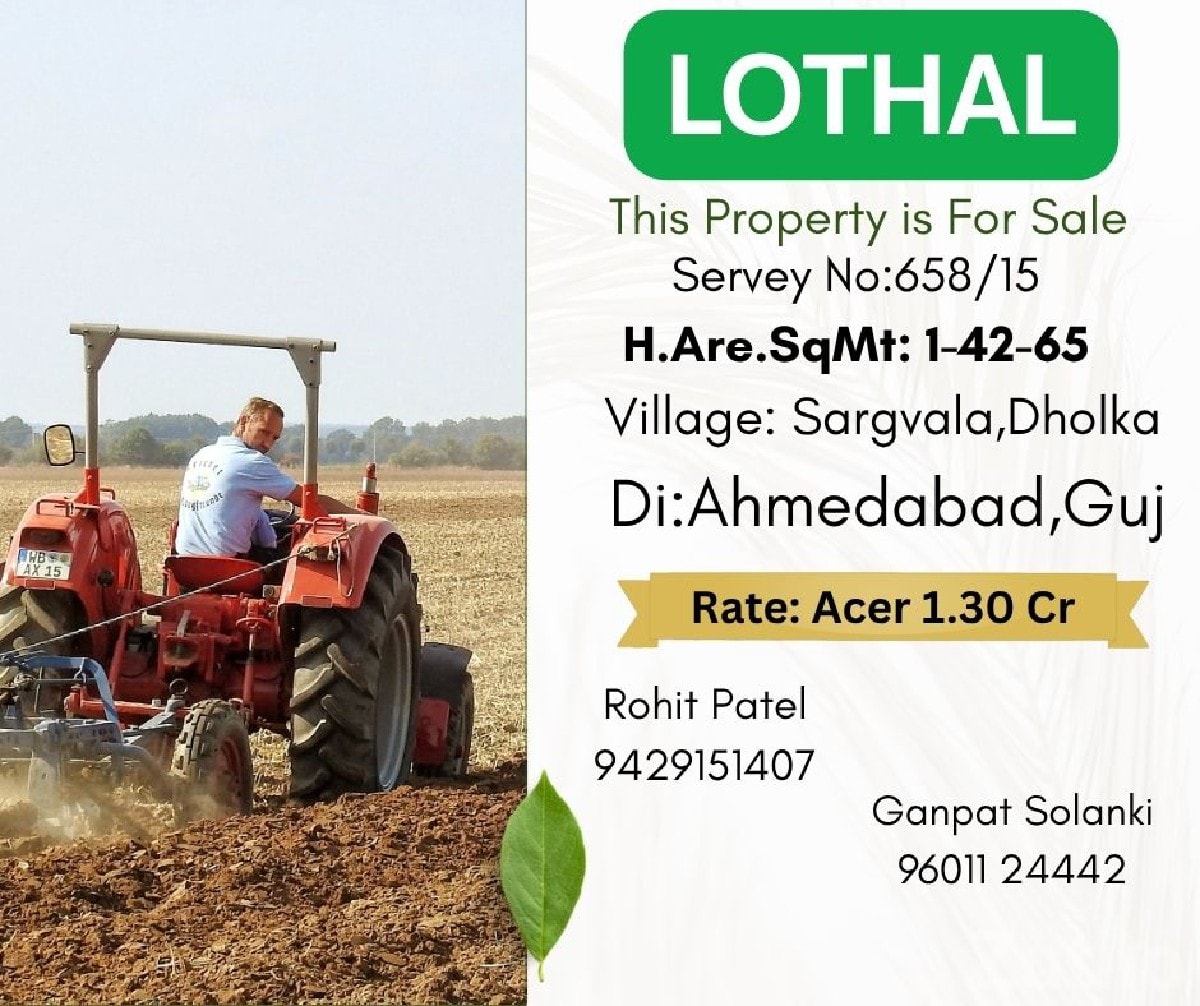 Dholka Saragvala Roadside Plot for Sale - જમીન અને પ્લોટ - ધોળકા - Image 2