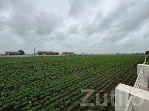 Vadala Fatak Roadside Plot Land for Sale - જમીન અને પ્લોટ - તલાલા - Image 3