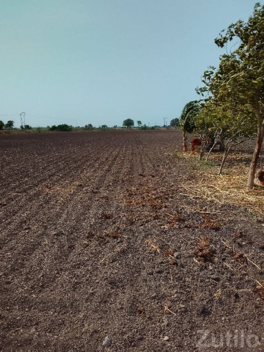 Fertile Agricultural Land for Sale Rajkot