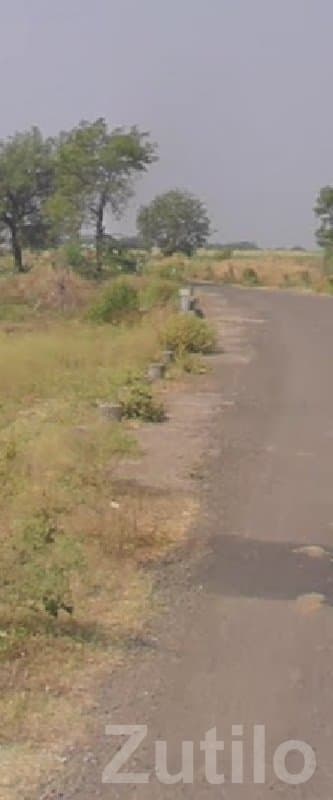 Open Agricultural Land in Savarkundla - જમીન અને પ્લોટ - સાવરકુંડલા - Image 2