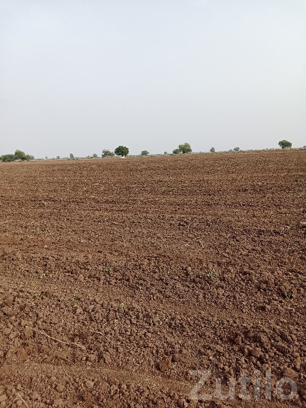 Savarkundla Agricultural Plot for Sale - જમીન અને પ્લોટ - સાવરકુંડલા - Image 2