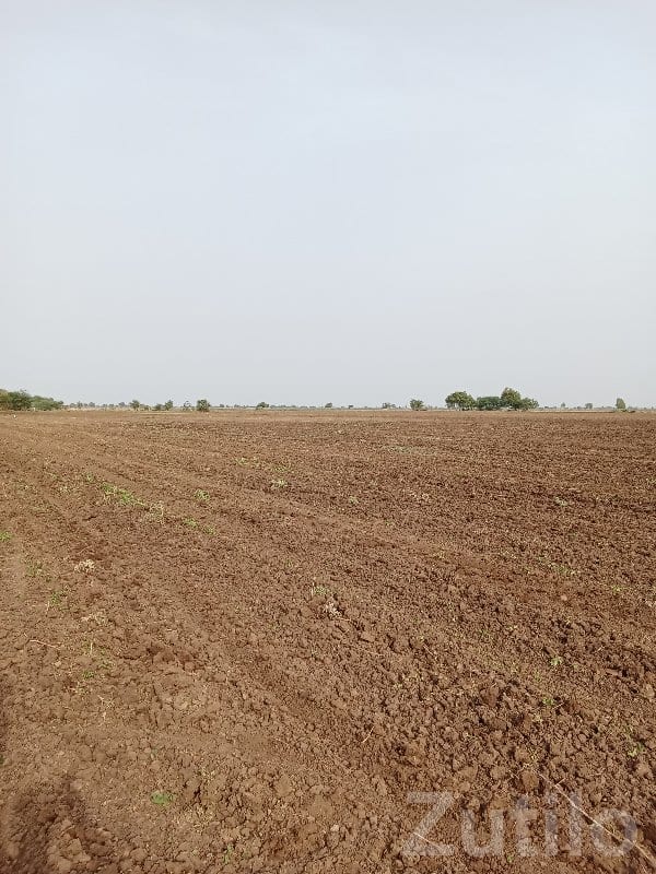 Savarkundla Agricultural Plot for Sale - જમીન અને પ્લોટ - સાવરકુંડલા - Image 3