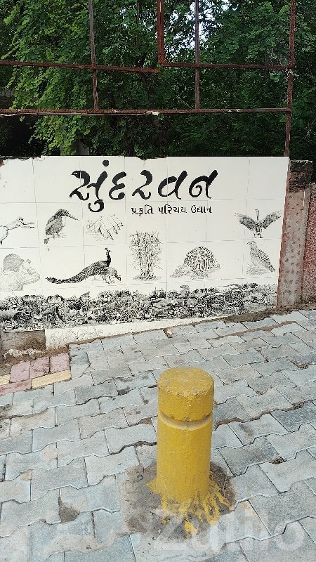 Green Surroundings Land Plot in Dhoraji Green Surroundings Land Plot in Dhoraji