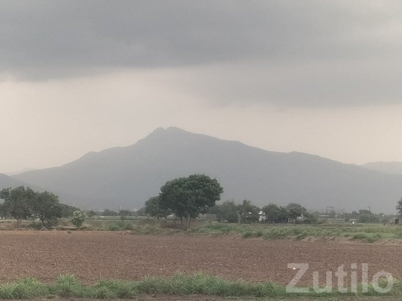 Talala Agriculture Land with Mountain View - Land & Plots - Talala - Image 2
