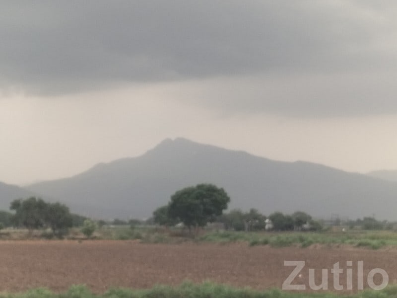 Talala Agriculture Land with Mountain View - Land & Plots - Talala - Image 3