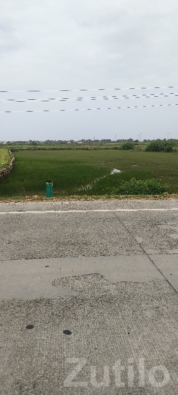 7.5 Vigha Road Touch Agriculture Land - જમીન અને પ્લોટ - છાયા - Image 2