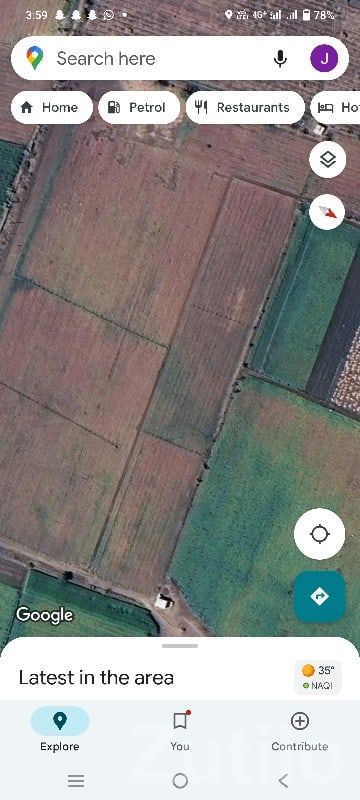 3 Vigha Agricultural Land in Talala - Land & Plots - Talala - Image 2