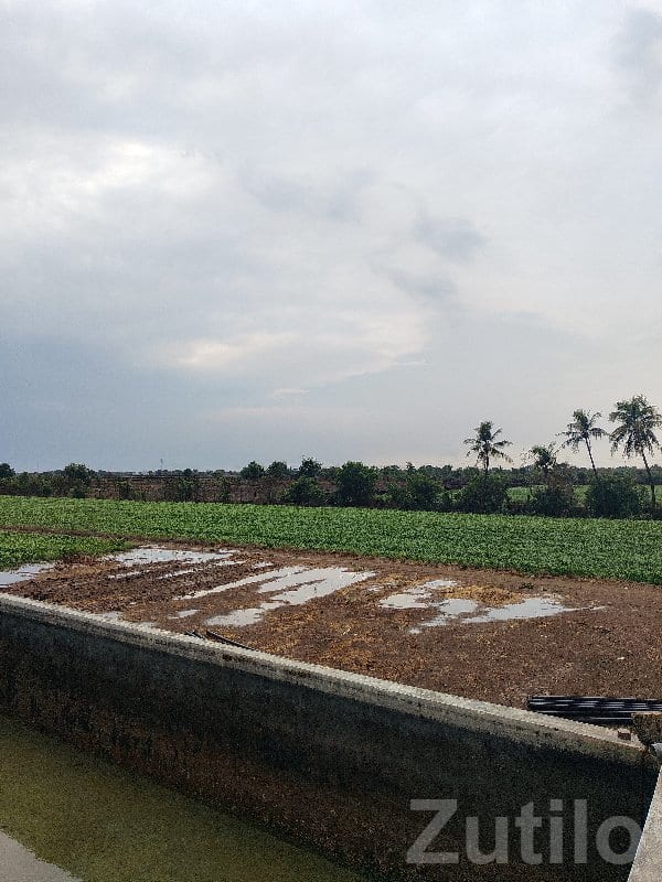 Talala Fertile Agricultural Land on Lease Talala Fertile Agricultural Land on Lease