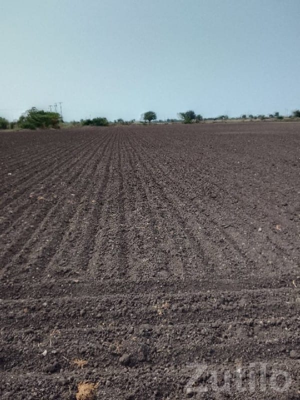 Fertile Agricultural Land for Sale