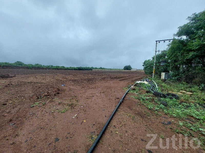 Fertile Open Land in Jambhalata Village - Land & Plots - Visavadar - Image 2