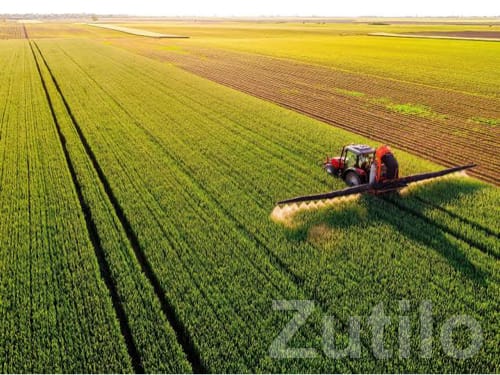 Fertile Agricultural Land Wanted in Rajkot
