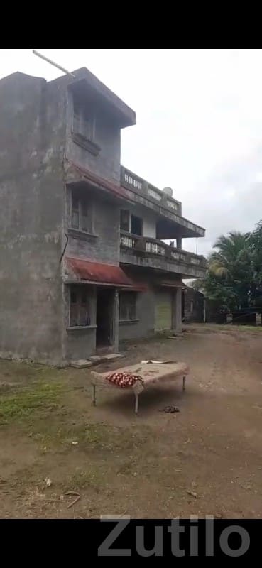 50 Vigha Fertile Green Farmland Plot Sale - Land & Plots - Kalyanpur - Image 3