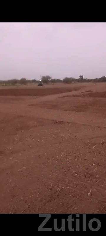 10.5 Vigha Fertile Farm Land with Water - Land & Plots - Talala - Image 3