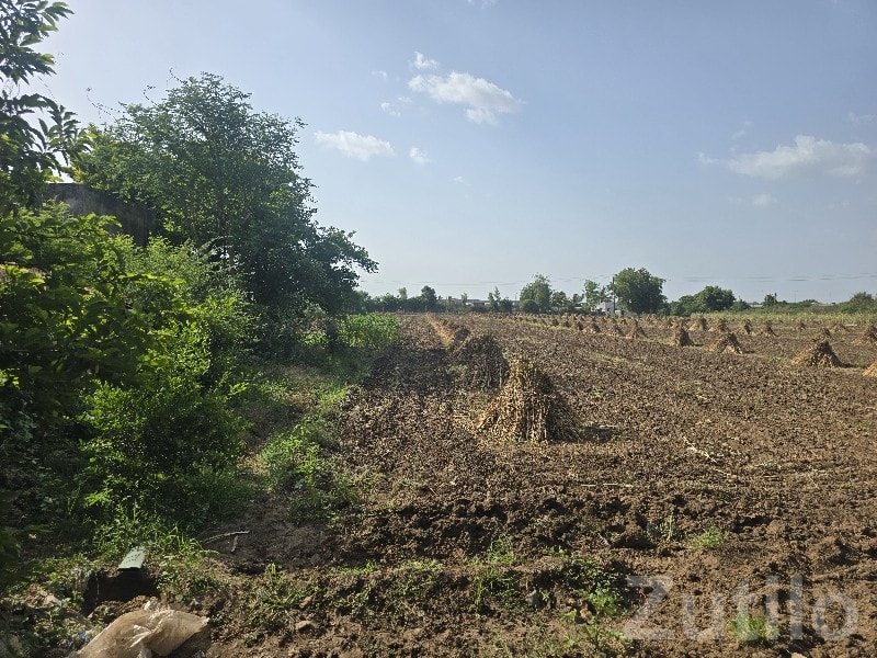 Fertile Agricultural Land in Talala Fertile Agricultural Land in Talala