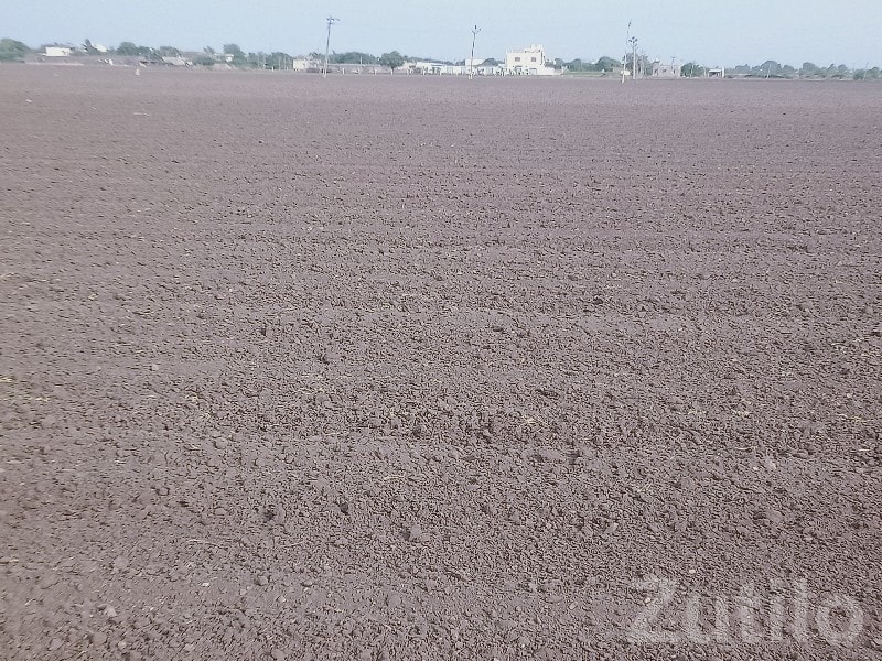 Fertile Open Land Plot in Kutiyana - Land & Plots - Kutiyana - Image 2