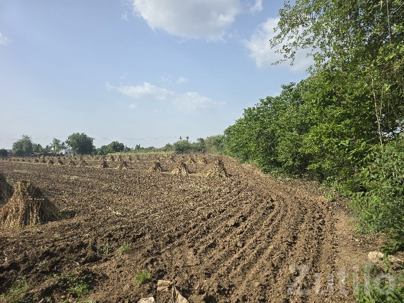 Fertile Agricultural Land in Talala - Land & Plots - Talala - Image 2