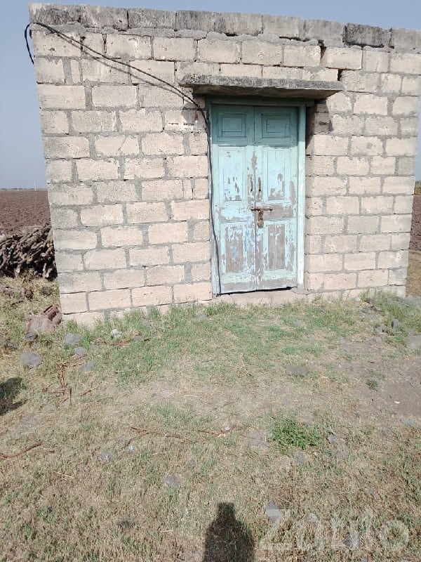 41 Bigha Fertile Agricultural Land Sale - Land & Plots - Kutiyana - Image 3