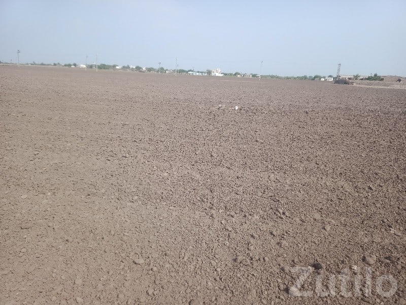 Fertile Open Land Plot in Kutiyana - Land & Plots - Kutiyana - Image 3
