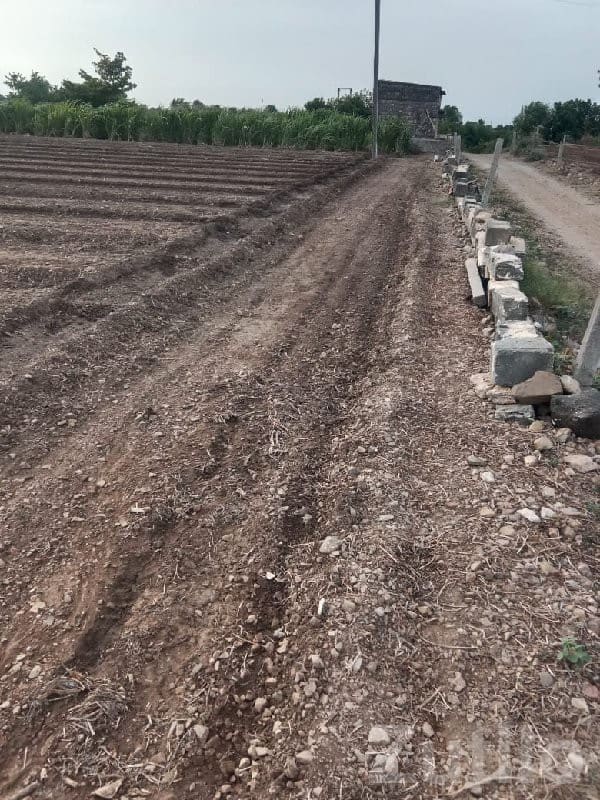Ranavav Fertile Agricultural Land Deal Ranavav Fertile Agricultural Land Deal
