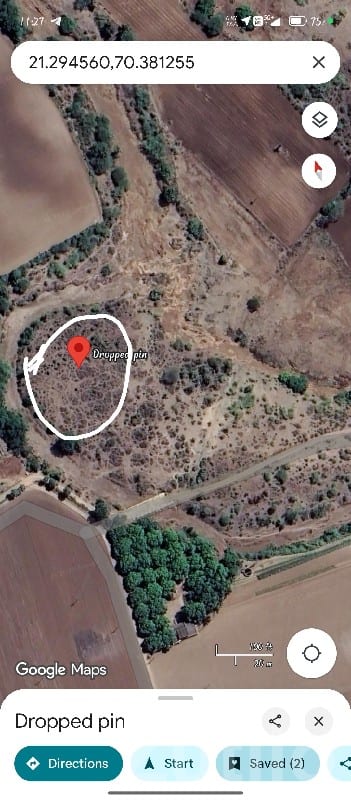 Fertile Agricultural Land in Mendarda - જમીન અને પ્લોટ - મેન્ડરડા - Image 3