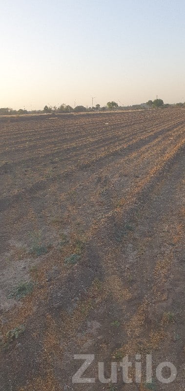 Mota Gunda Farmland Plot, Khambhalia - Land & Plots - Khambhalia - Image 2