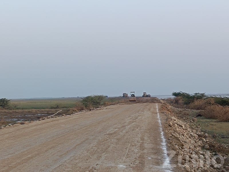 Open Green Agricultural Plot in Chhaya - Land & Plots - Chhaya - Image 2