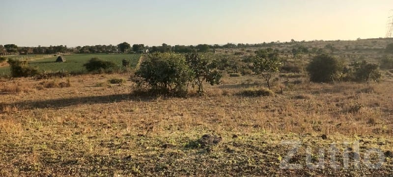 Mendarda Roadside Agricultural Land Plot - Land & Plots - Mendarda - Image 2