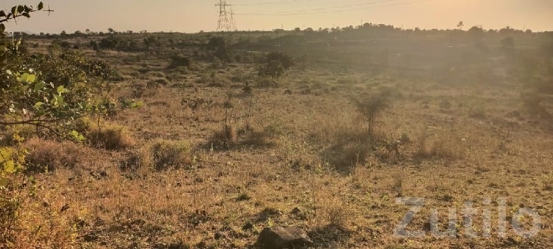 Mendarda Roadside Agricultural Land Plot - Land & Plots - Mendarda - Image 3
